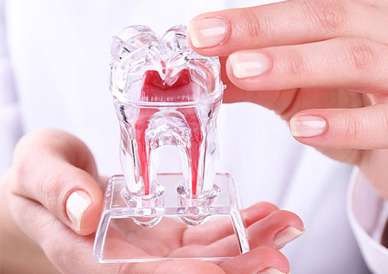 endodontia-odontocosta